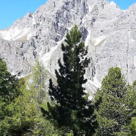 Hildegard Pedevilla Comfortable