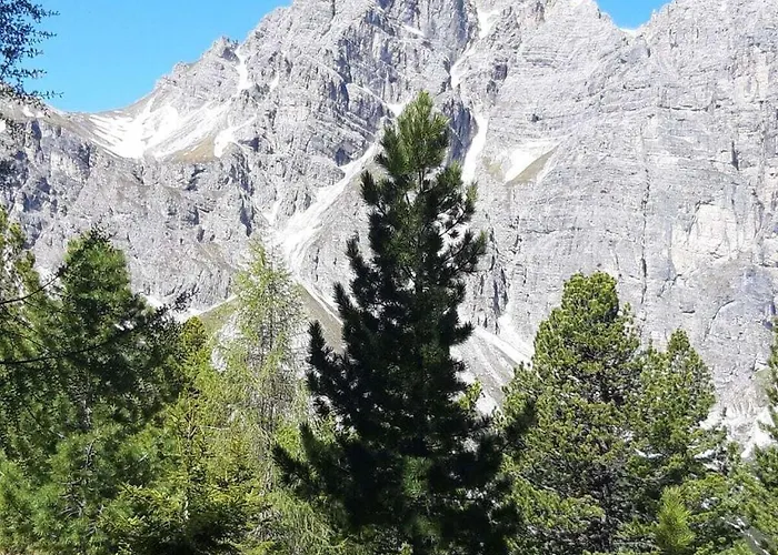 Hildegard Pedevilla Comfortable