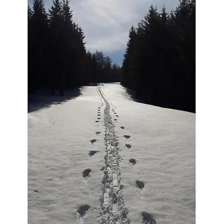 Hildegard Pedevilla Comfortable Kampl